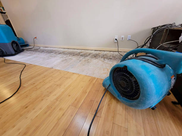 Professional Ceiling Water Damage Repair technician working in Driscoll, TX